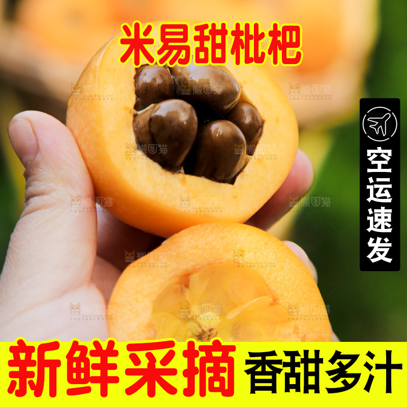 手里拿着米易枇杷