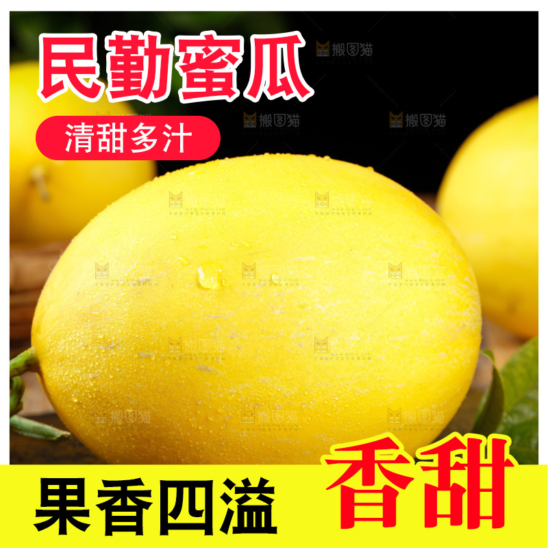 深底上的黄河蜜瓜