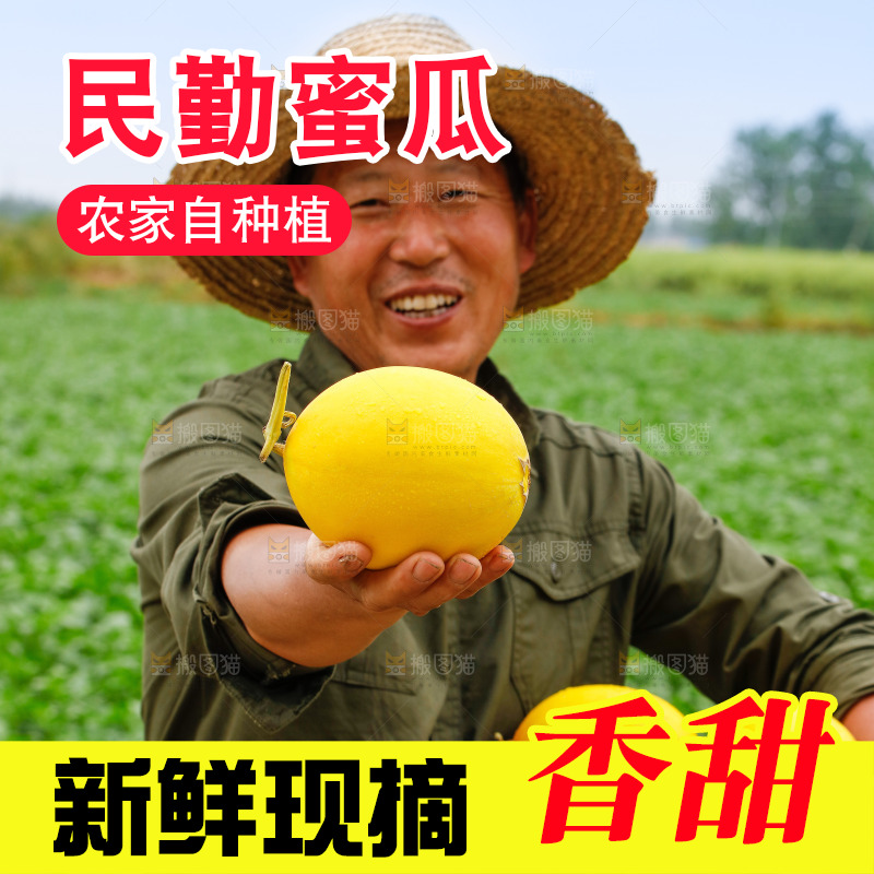 手里拿着的黄河蜜瓜