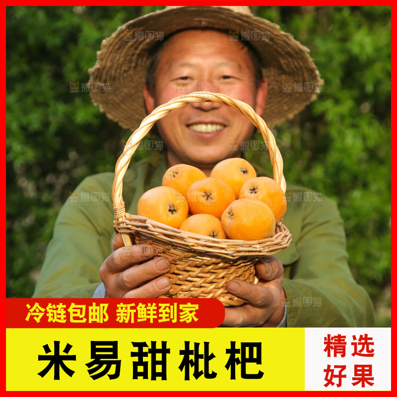 手里拿着米易枇杷