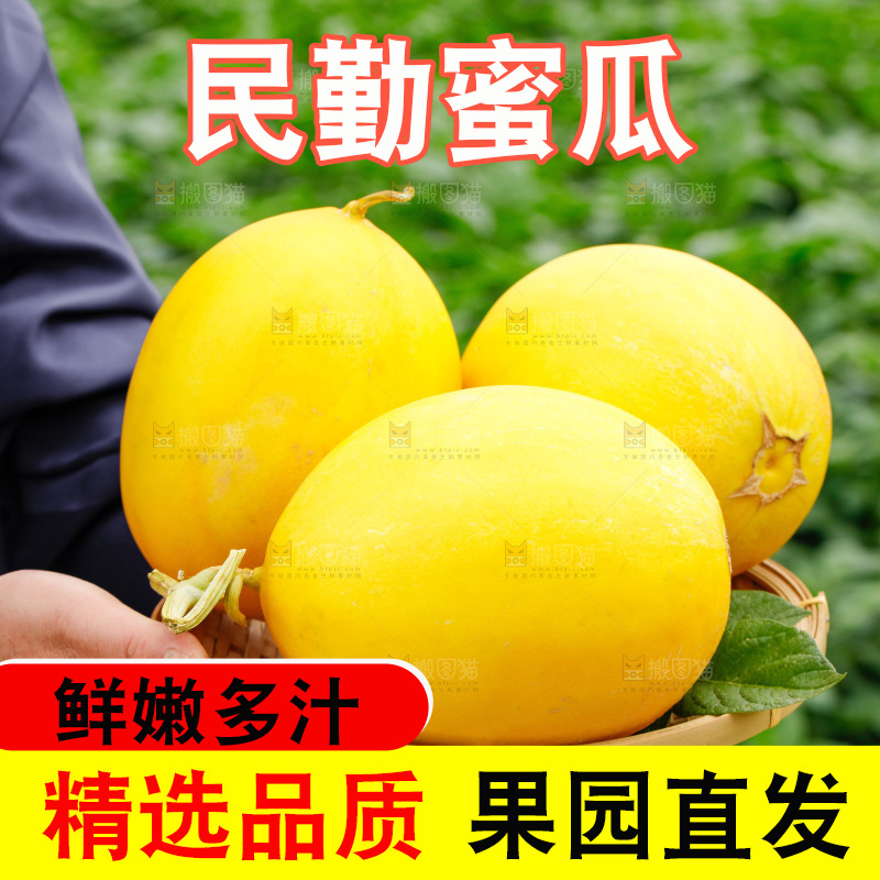 手里拿着的黄河蜜瓜