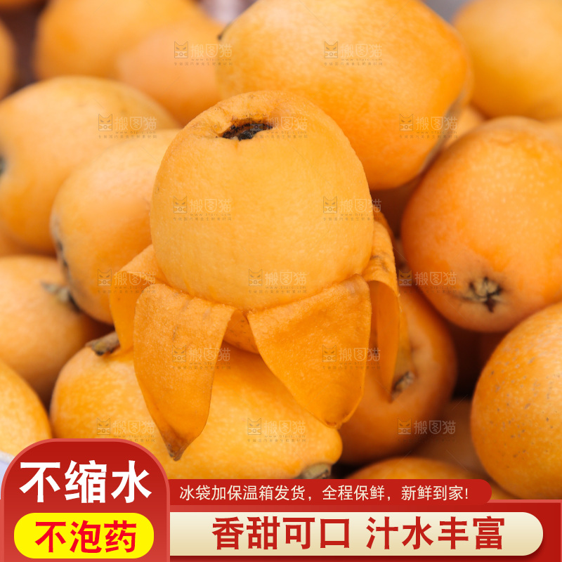 手里拿着米易枇杷