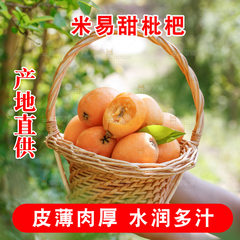 手里拿着米易枇杷