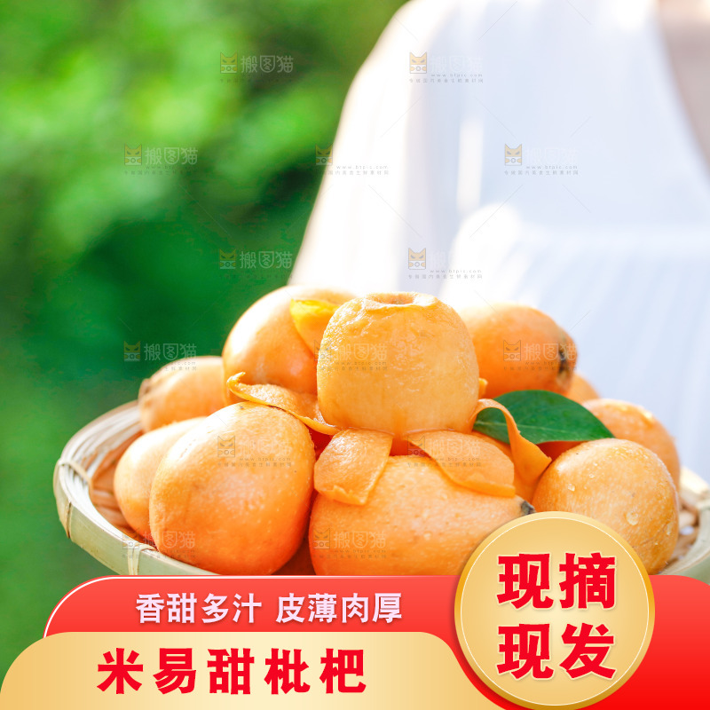 手里拿着米易枇杷