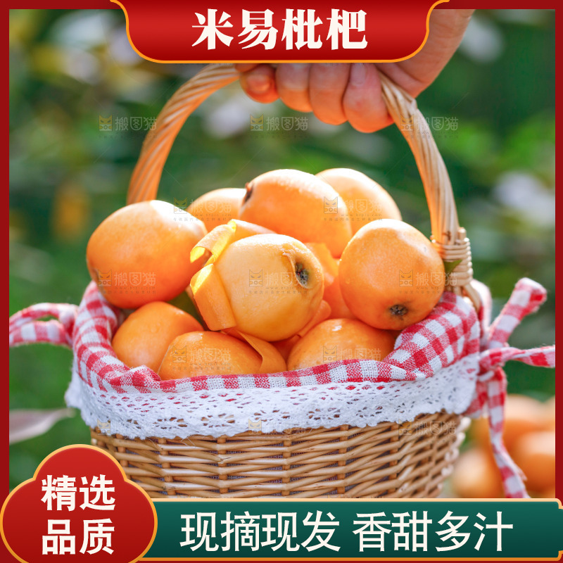 手里拿着米易枇杷