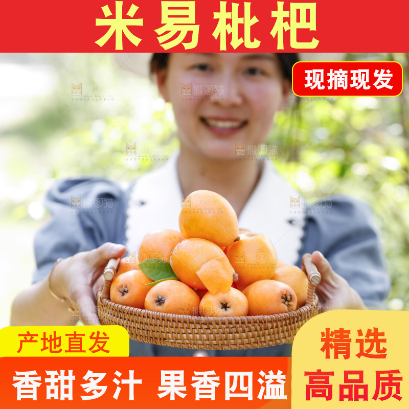 手里拿着米易枇杷