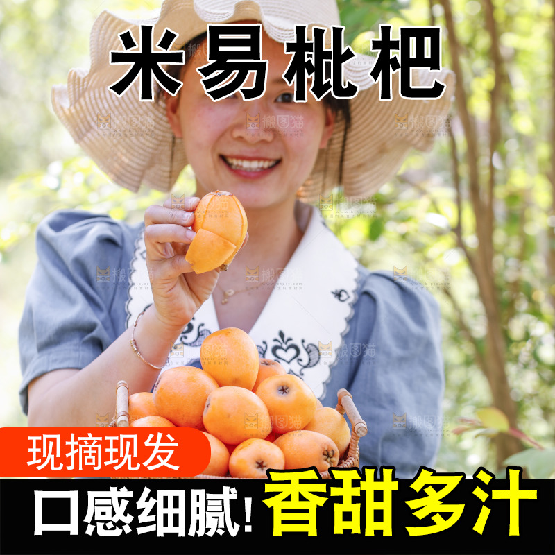 手里拿着米易枇杷