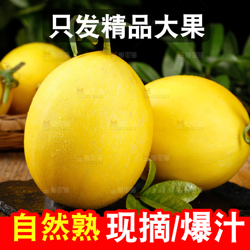 深底上的黄河蜜瓜