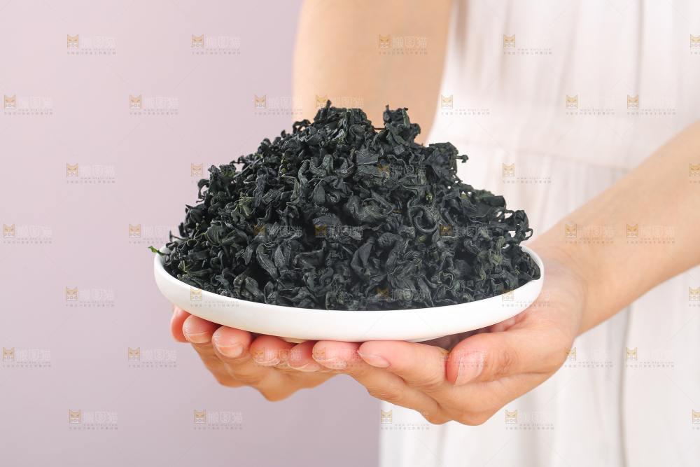 浅底上的裙带菜