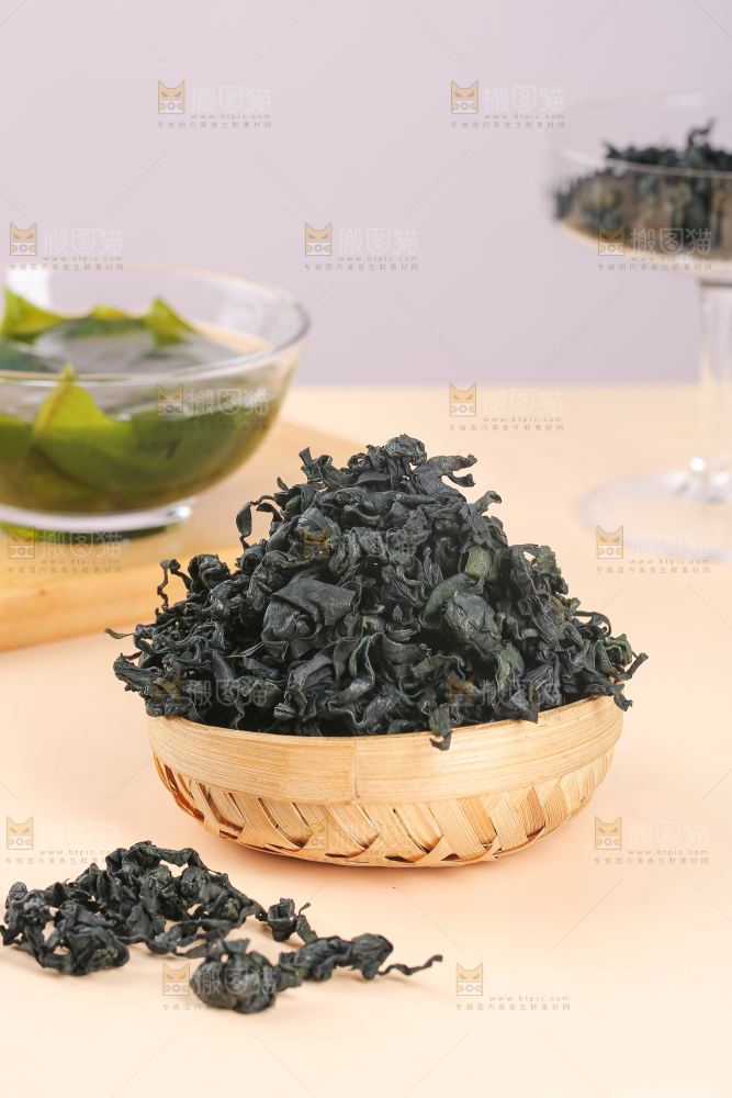 浅底上的裙带菜
