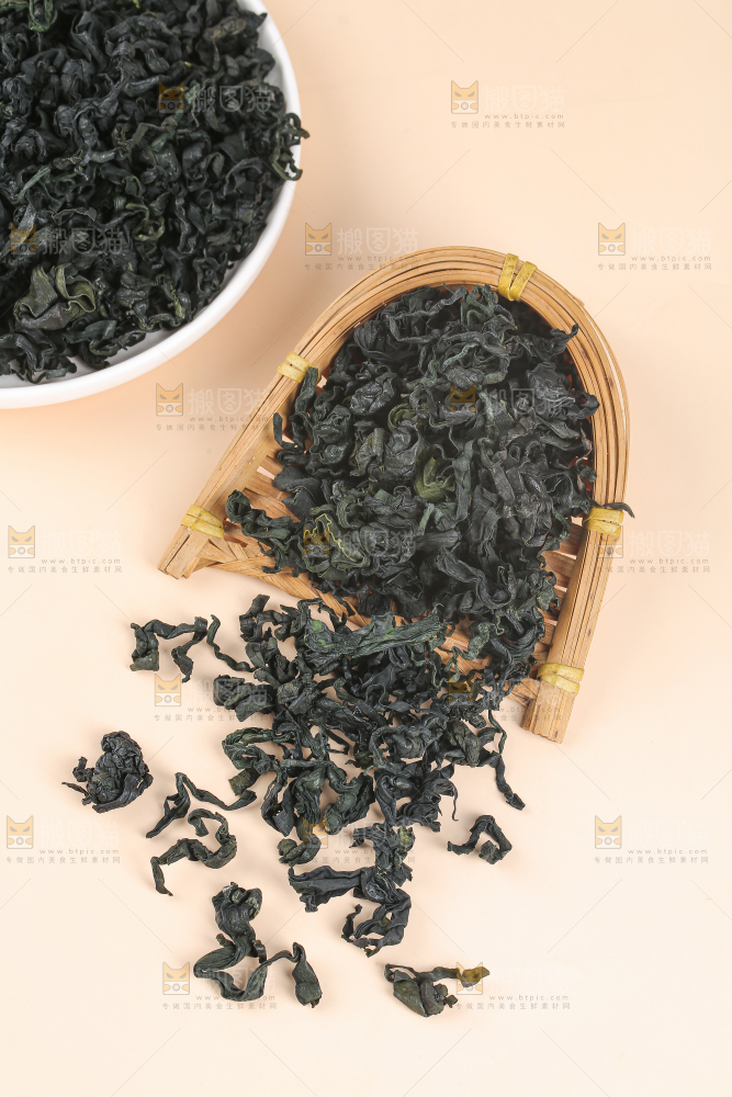 浅底上的裙带菜