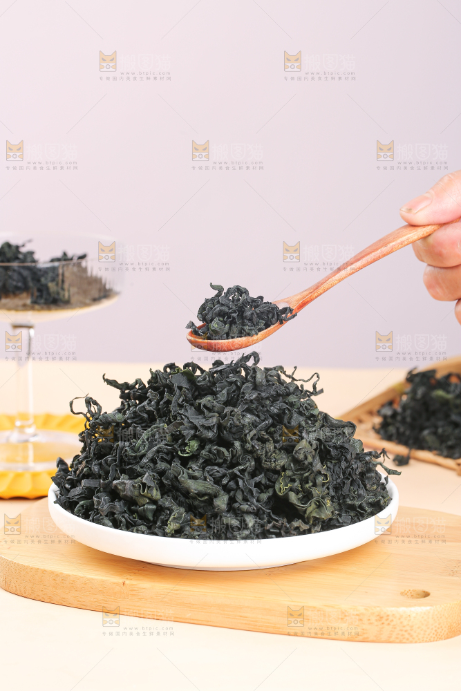 浅底上的裙带菜