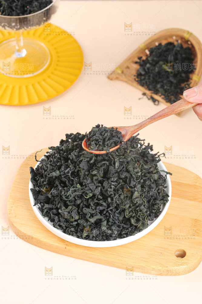 浅底上的裙带菜
