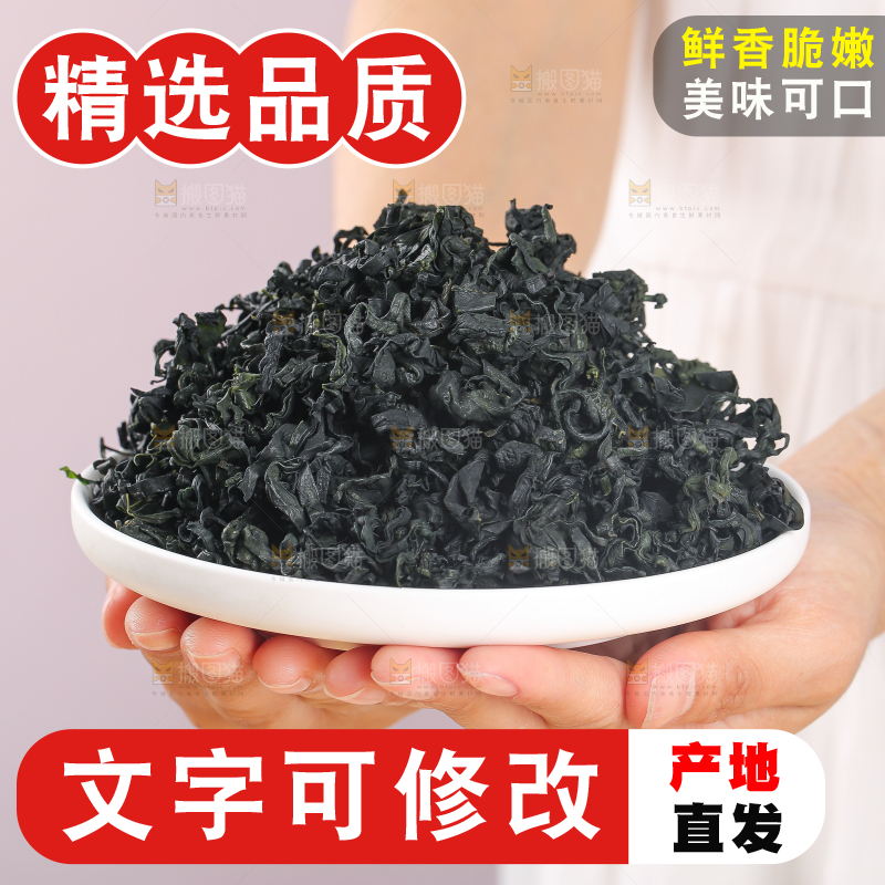 浅底上的裙带菜
