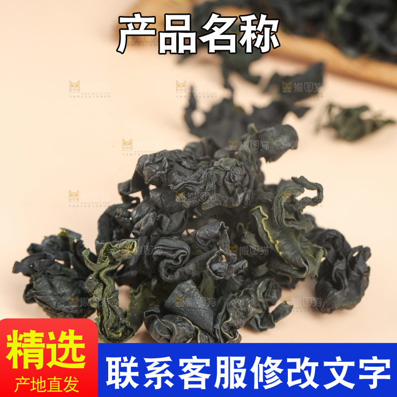 浅底上的裙带菜