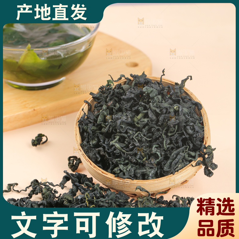 浅底上的裙带菜