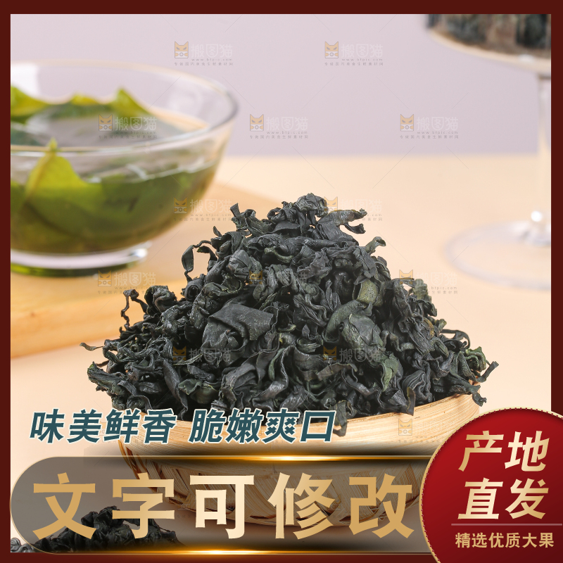 浅底上的裙带菜