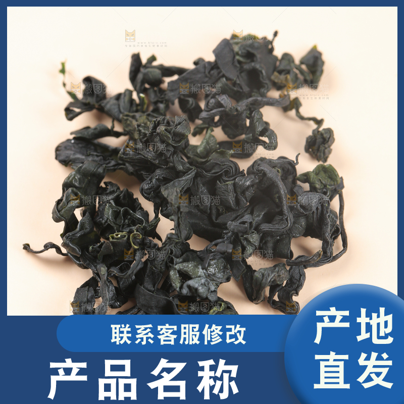 浅底上的裙带菜