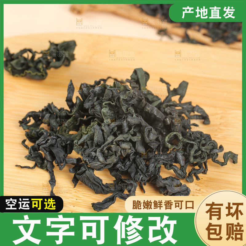 浅底上的裙带菜