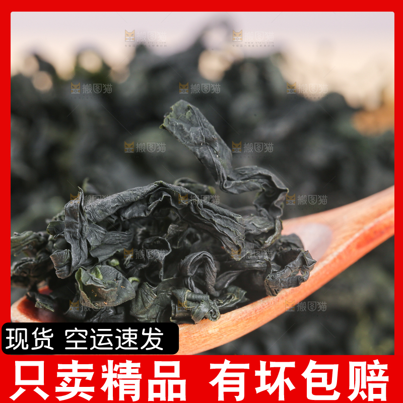 浅底上的裙带菜