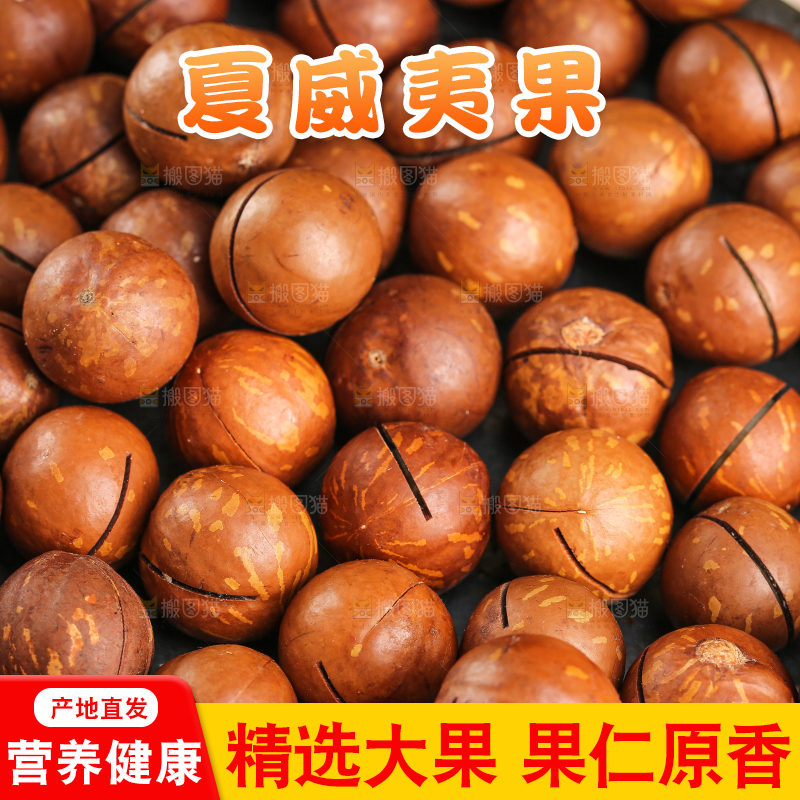 深底上的夏威夷果