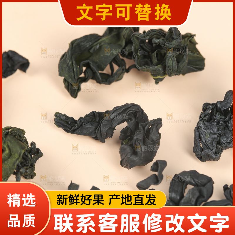 浅底上的裙带菜