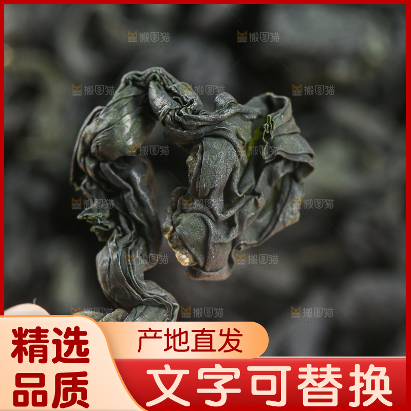 浅底上的裙带菜