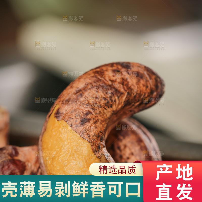 深底上的紫皮腰果