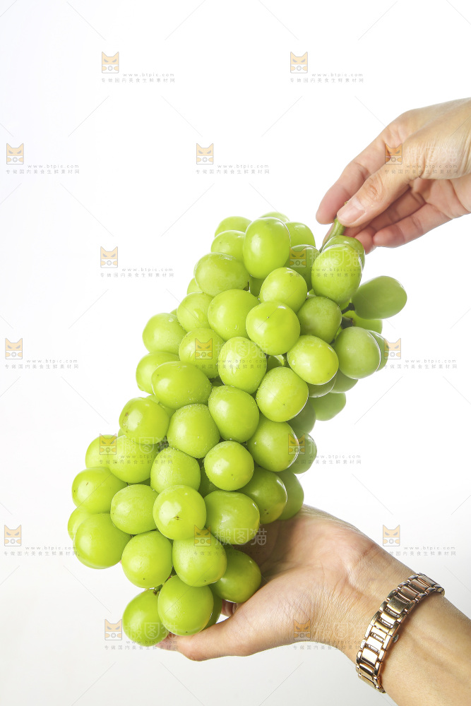 白底上的阳光玫瑰青提