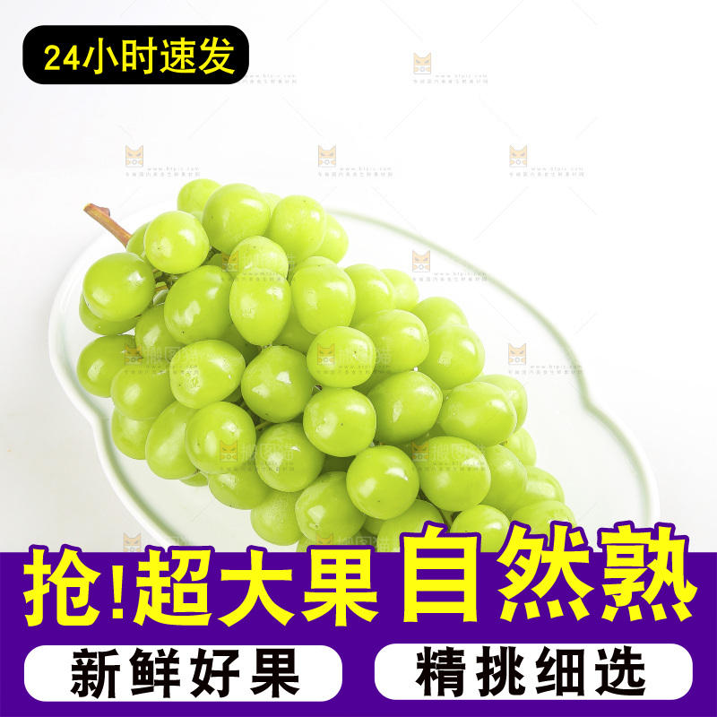白底上的阳光玫瑰青提