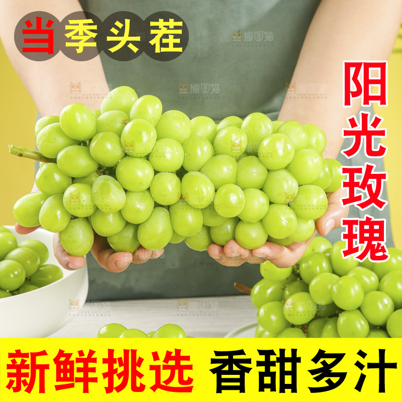 浅底上的阳光玫瑰青提