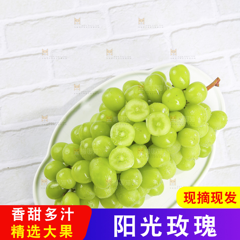 浅底上的阳光玫瑰青提