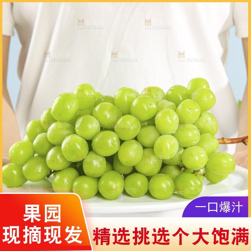浅底上的阳光玫瑰青提