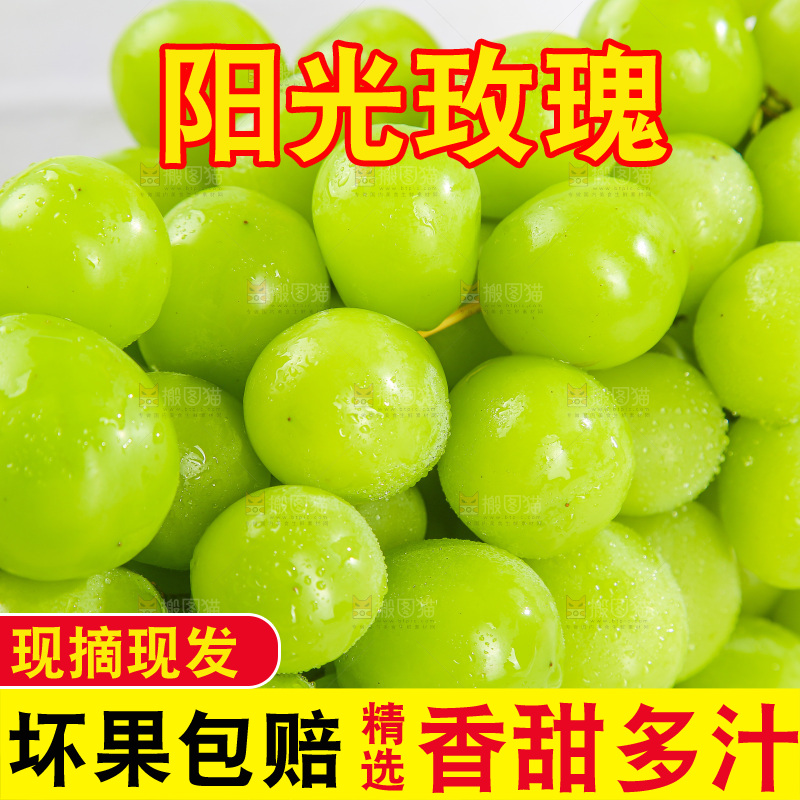 浅底上的阳光玫瑰青提