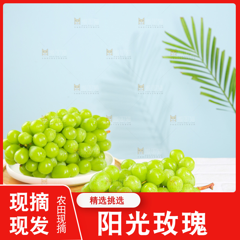 浅底上的阳光玫瑰青提
