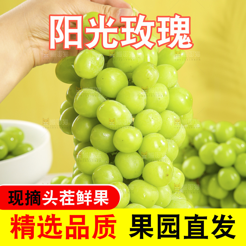 浅底上的阳光玫瑰青提