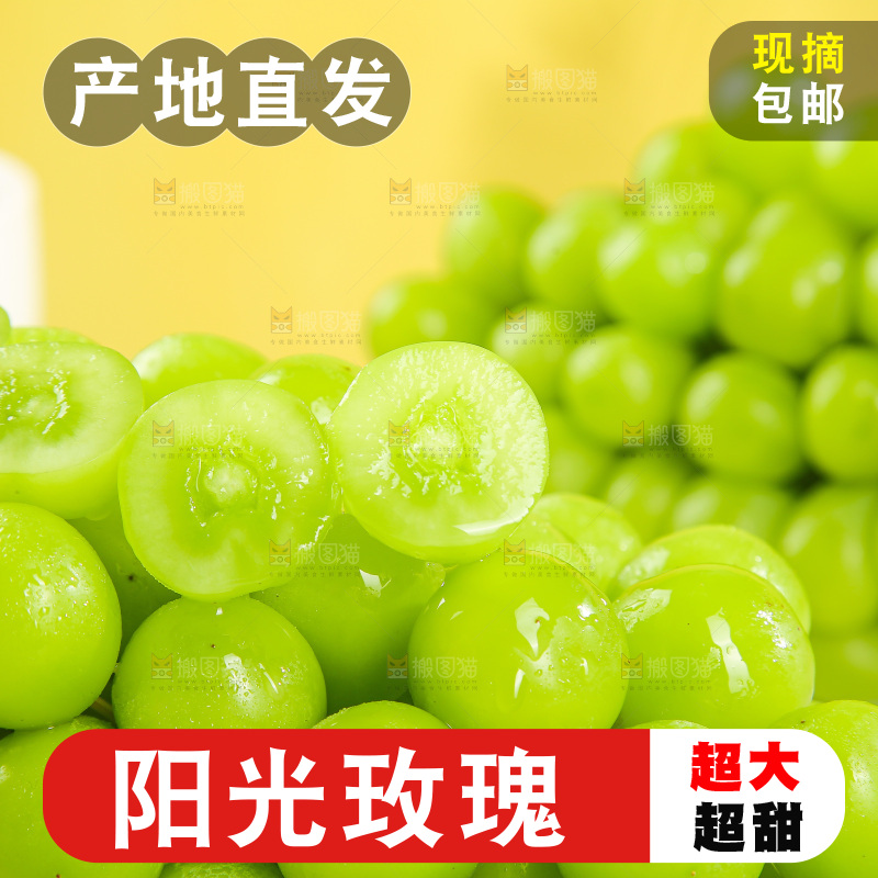 浅底上的阳光玫瑰青提