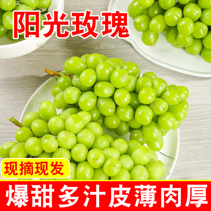 浅底上的阳光玫瑰青提