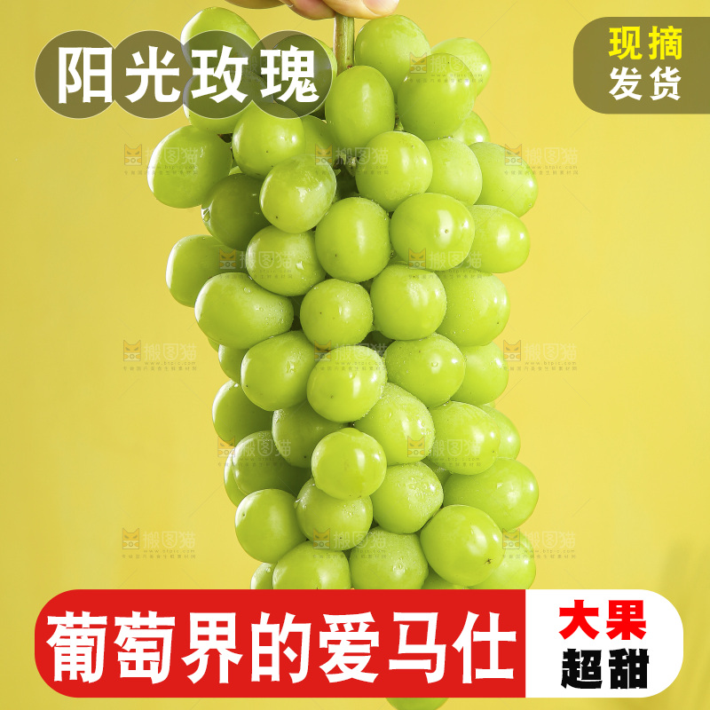 浅底上的阳光玫瑰青提