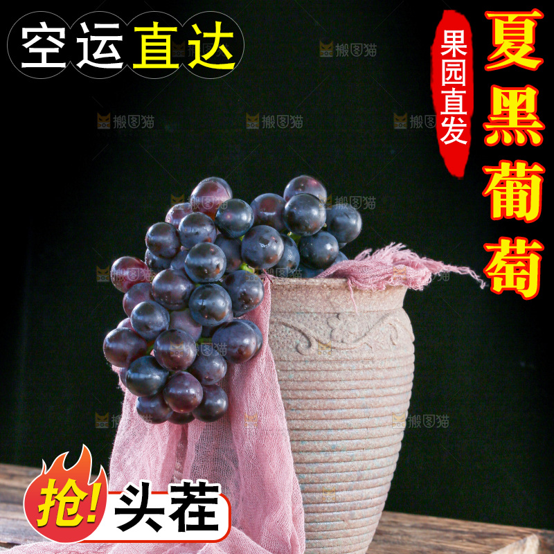 深底上的夏黑葡萄