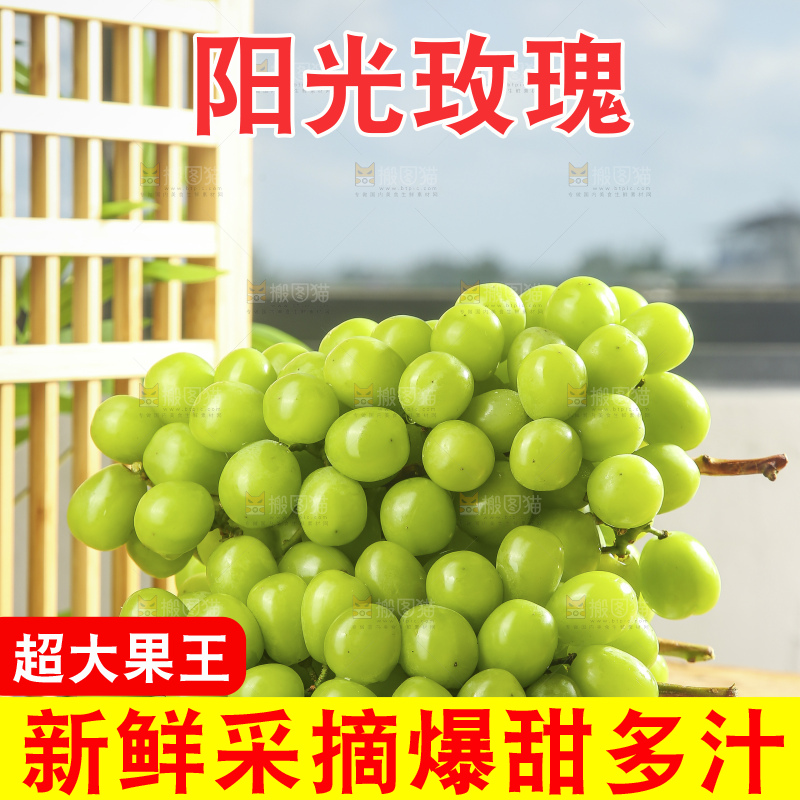 木底上的阳光玫瑰青提