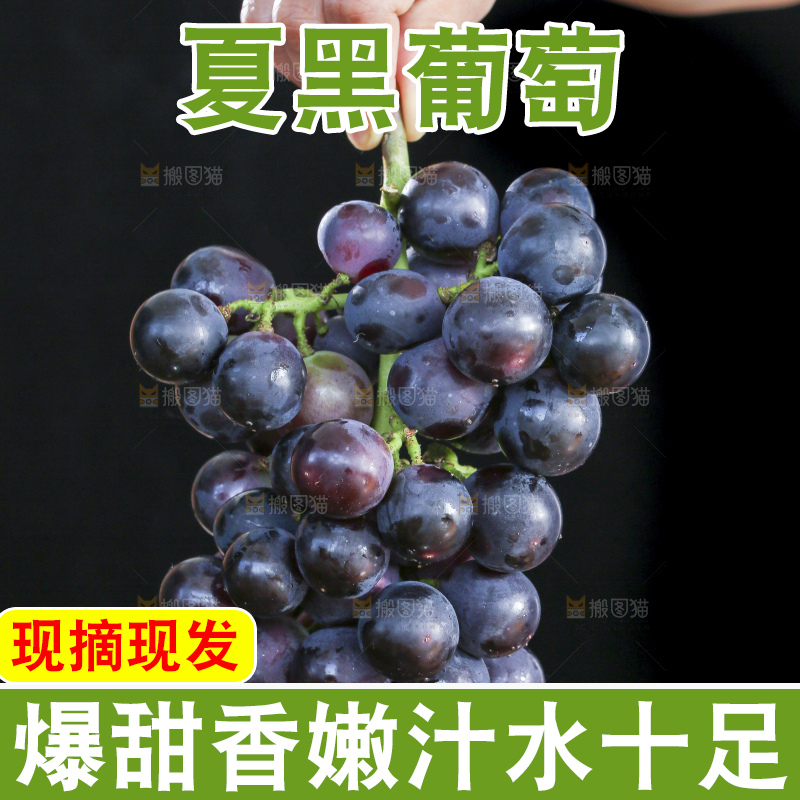 深底上的夏黑葡萄