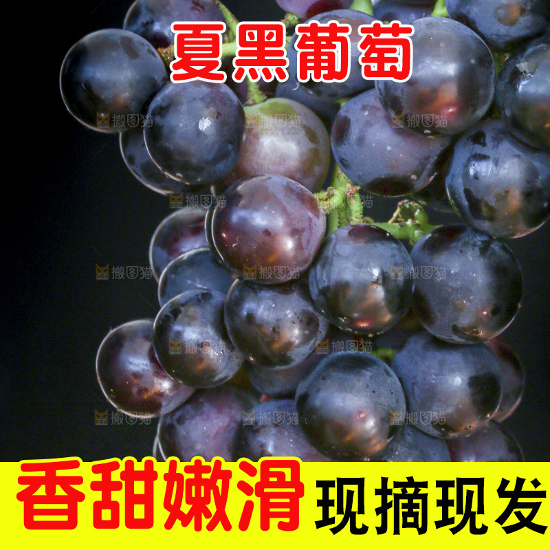 深底上的夏黑葡萄
