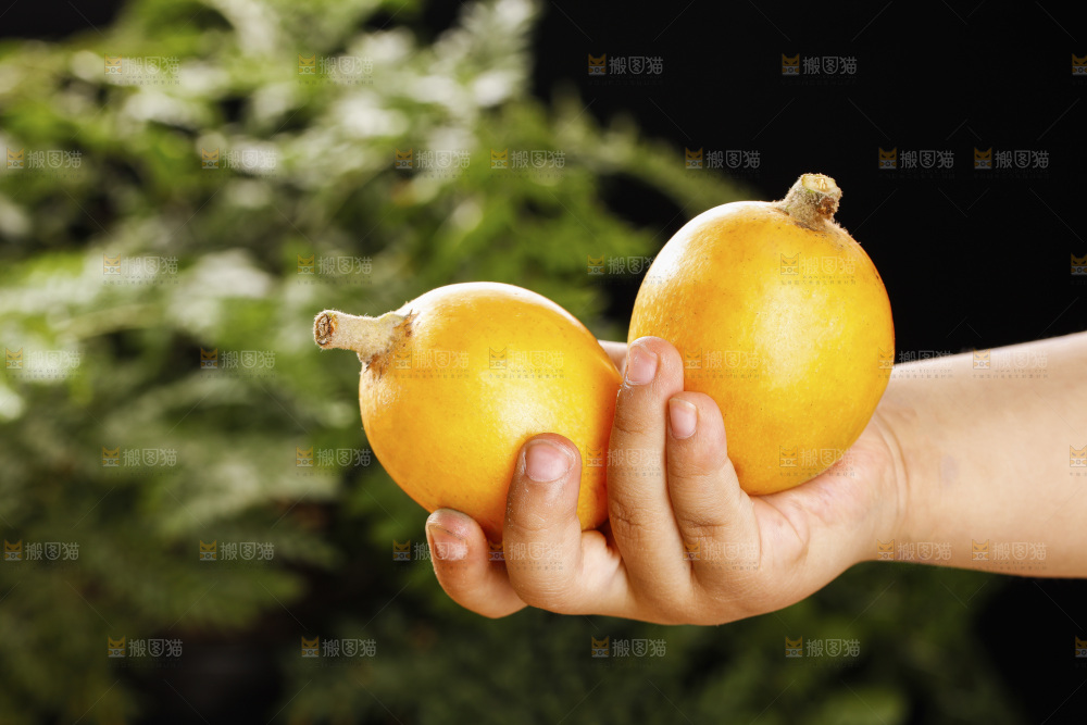 深底上的枇杷