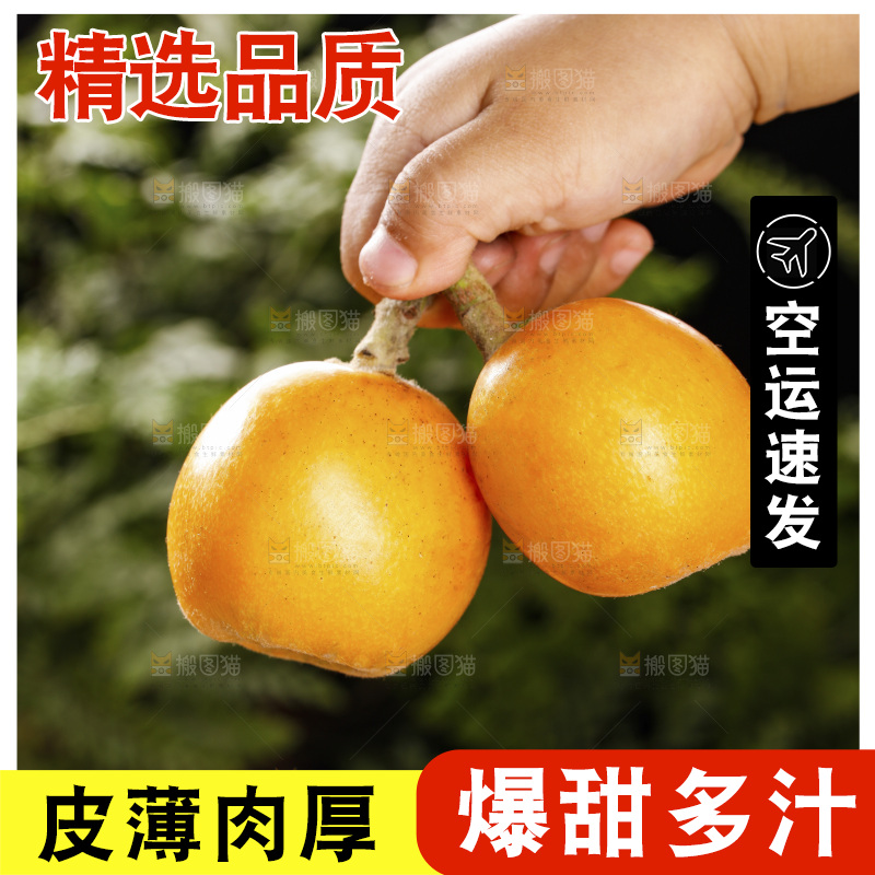 深底上的枇杷