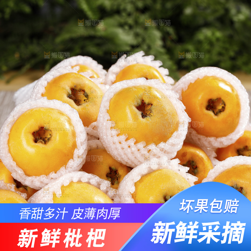 深底上的枇杷
