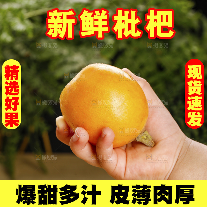 深底上的枇杷