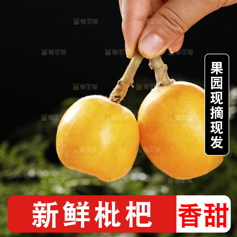 深底上的枇杷