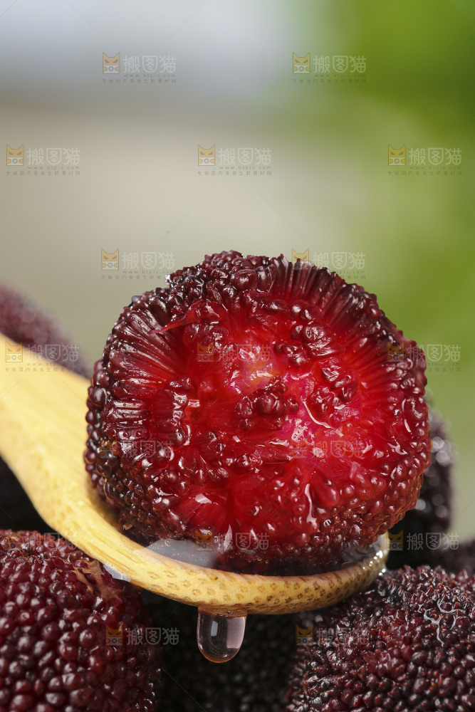 深底上的杨梅鲜果