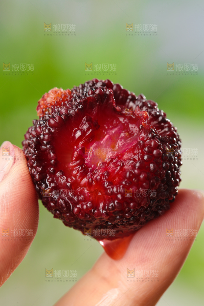 深底上的杨梅鲜果